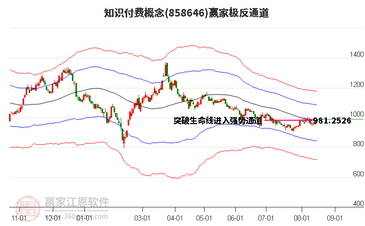 858646知识付费赢家极反通道工具