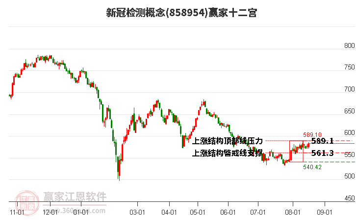 858954新冠检测赢家十二宫工具