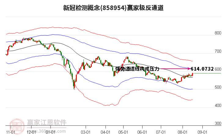 858954新冠检测赢家极反通道工具