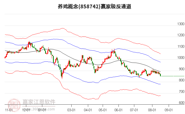 858742养鸡赢家极反通道工具