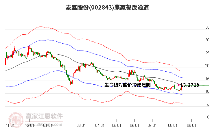 002843泰嘉股份赢家极反通道工具