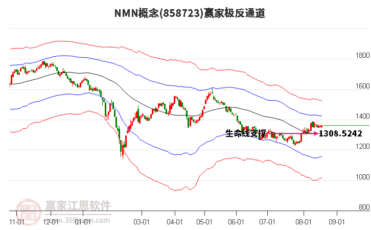 858723NMN赢家极反通道工具