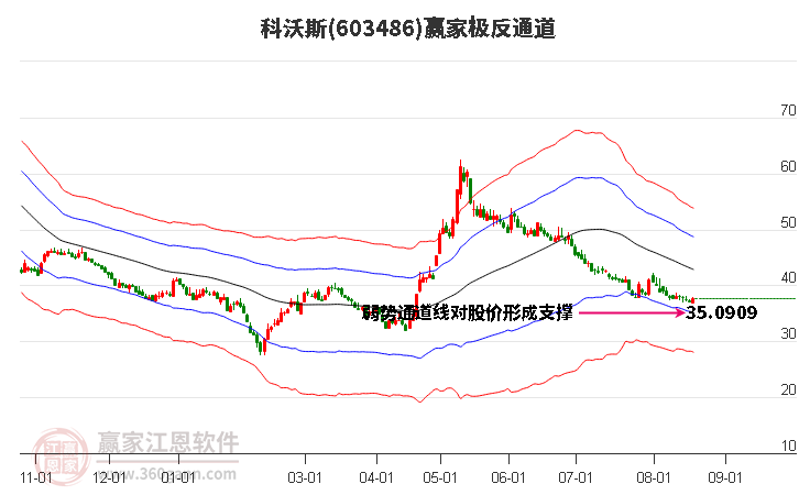 603486科沃斯赢家极反通道工具