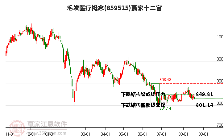 859525毛发医疗赢家十二宫工具