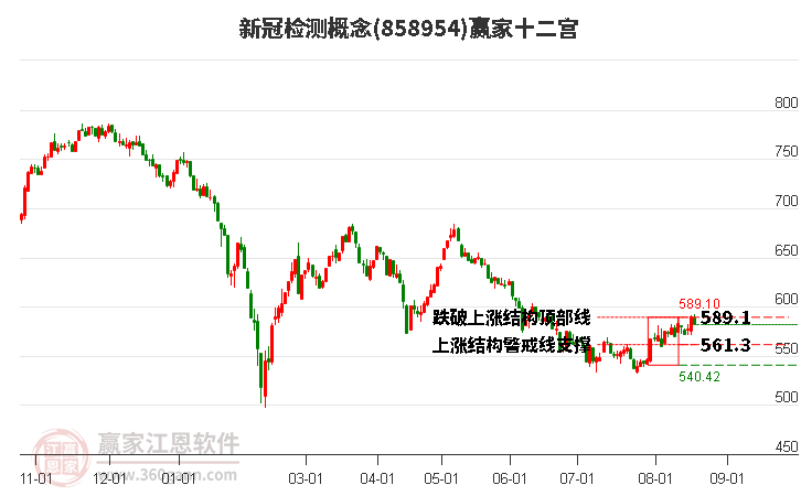 858954新冠檢測贏家十二宮工具