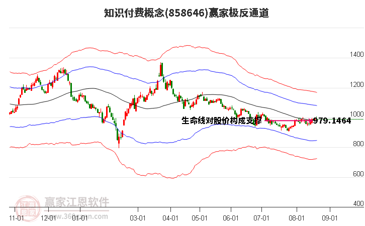 858646知识付费赢家极反通道工具