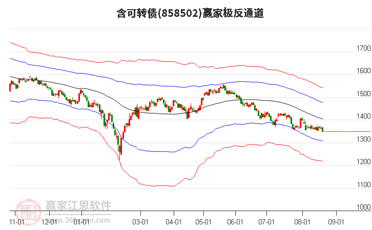 858502含可转债赢家极反通道工具