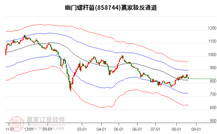 858744幽门螺杆菌赢家极反通道工具