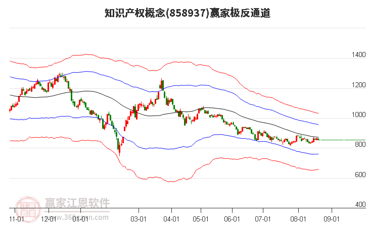 858937知识产权赢家极反通道工具