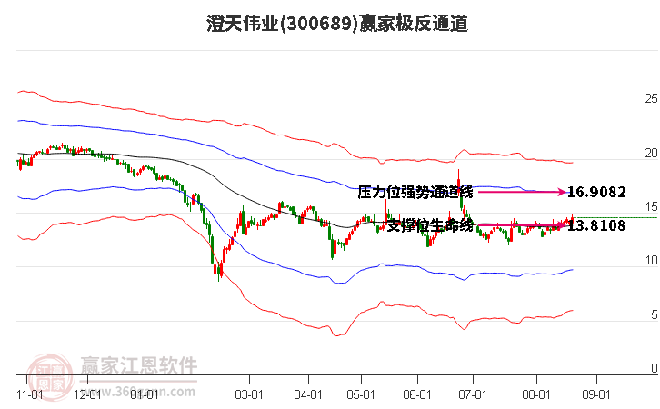 300689澄天伟业赢家极反通道工具