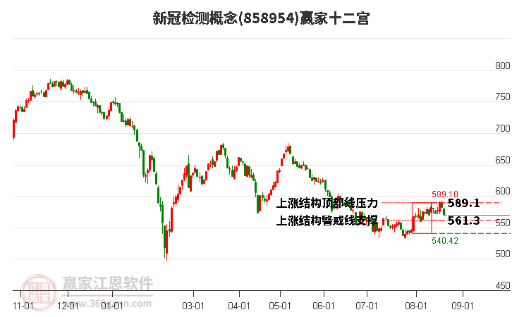 858954新冠检测赢家十二宫工具