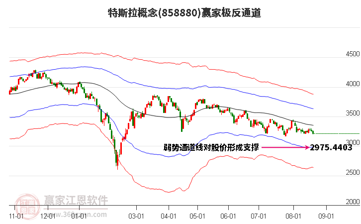 858880特斯拉赢家极反通道工具