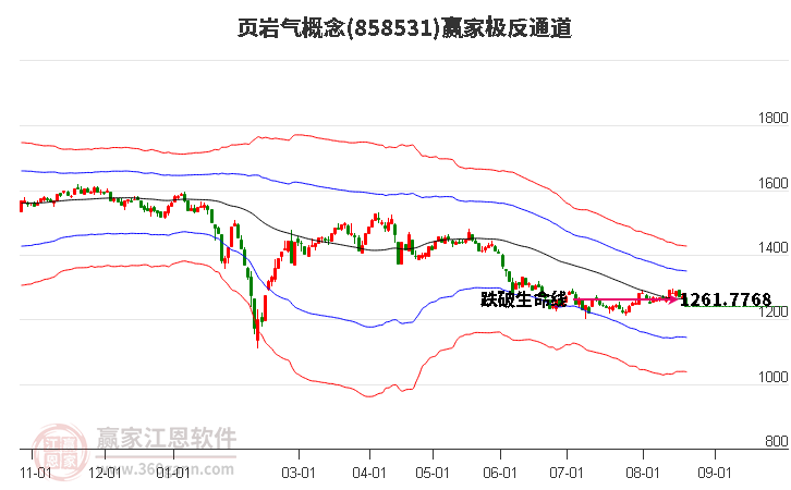 858531页岩气赢家极反通道工具