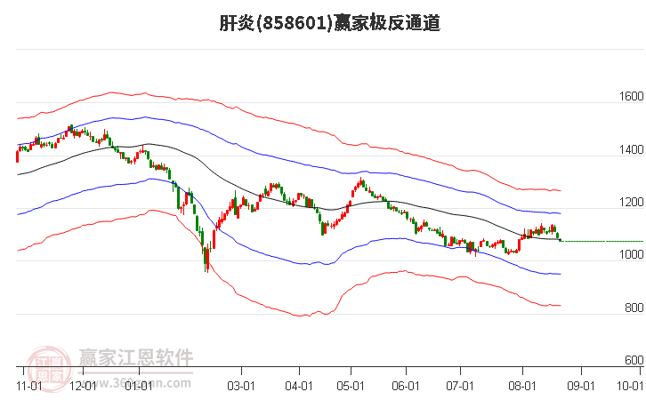 858601肝炎赢家极反通道工具