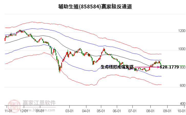 858584辅助生殖赢家极反通道工具