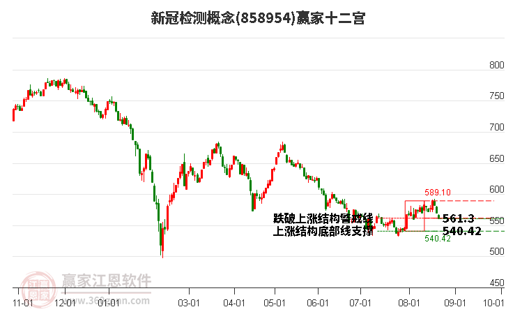 858954新冠检测赢家十二宫工具