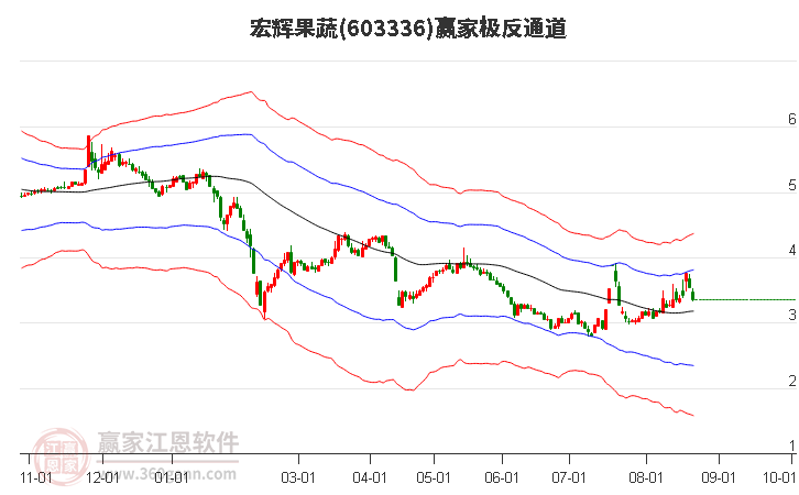 603336宏辉果蔬赢家极反通道工具