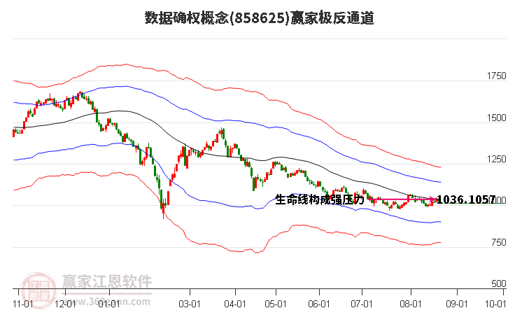 858625数据确权赢家极反通道工具