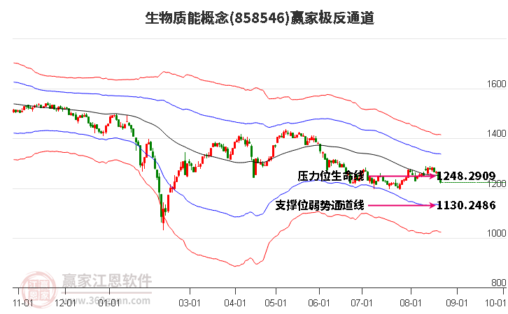 858546生物质能赢家极反通道工具