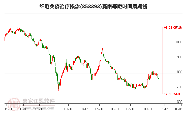 细胞免疫治疗概念赢家等距时间周期线工具