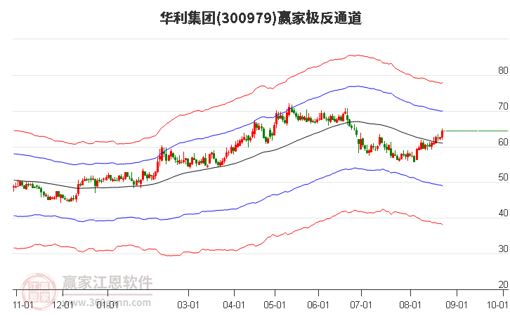 300979华利集团赢家极反通道工具