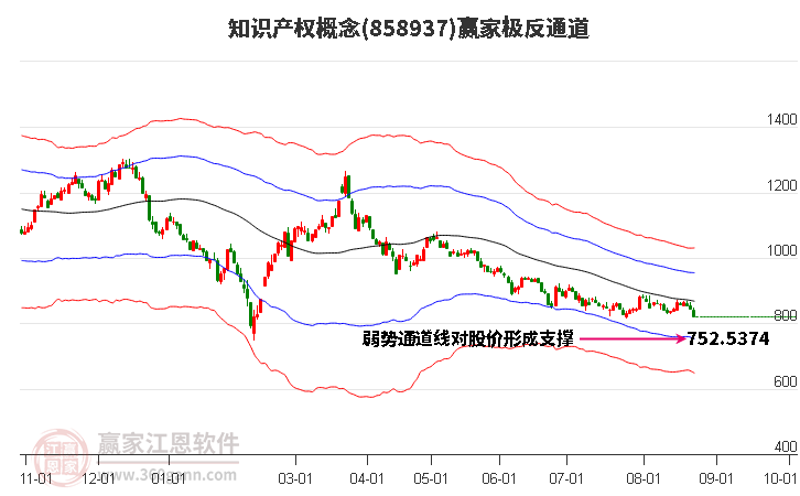 858937知识产权赢家极反通道工具