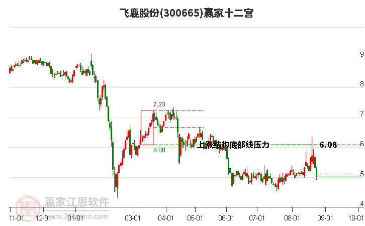 300665飞鹿股份赢家十二宫工具