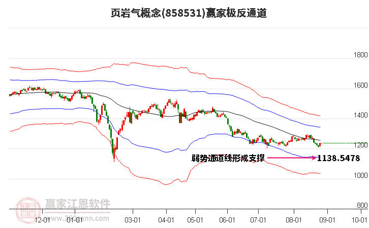 858531页岩气赢家极反通道工具