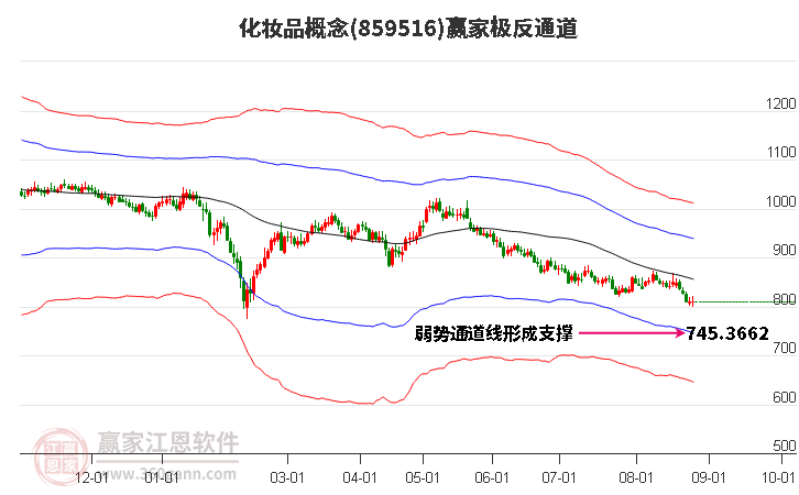 859516化妆品赢家极反通道工具