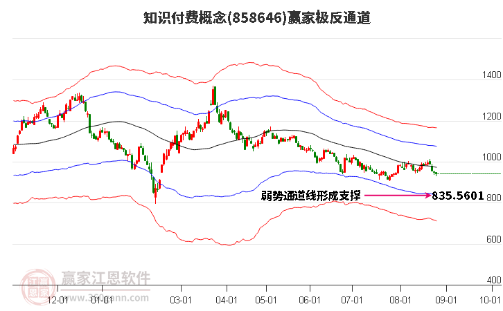 858646知识付费赢家极反通道工具