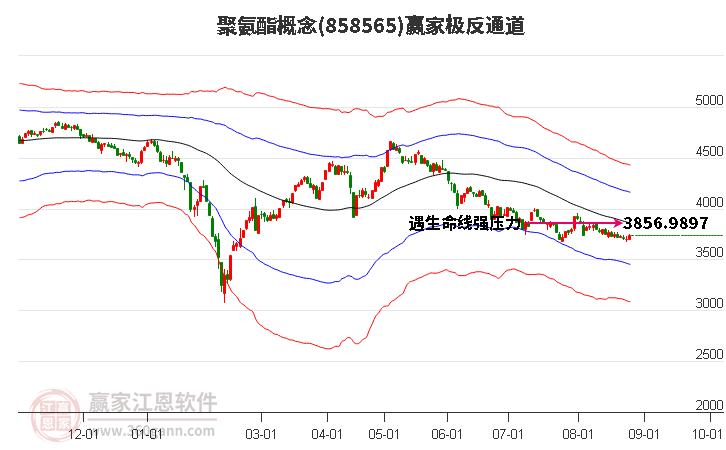 858565聚氨酯赢家极反通道工具