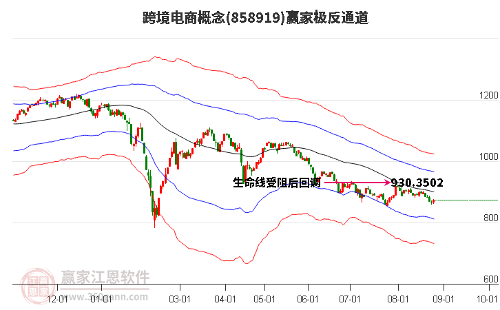 858919跨境电商赢家极反通道工具