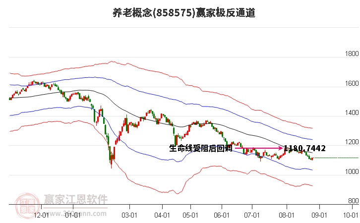 858575养老赢家极反通道工具