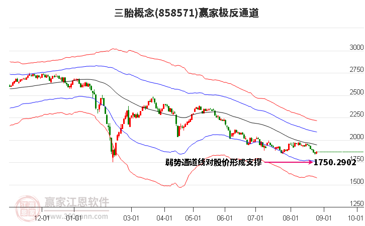 858571三胎赢家极反通道工具