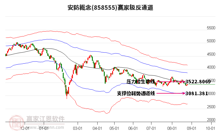 858555安防赢家极反通道工具