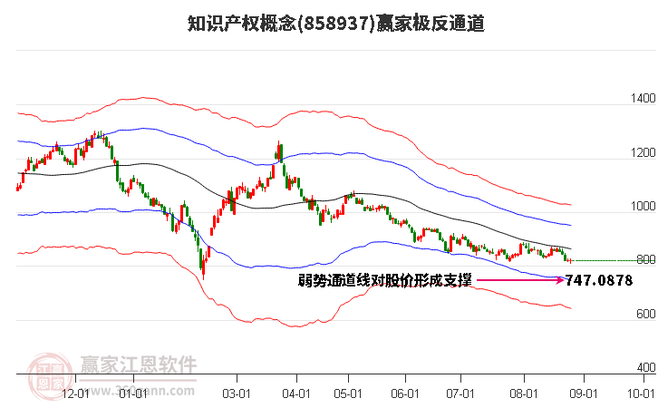 858937知识产权赢家极反通道工具