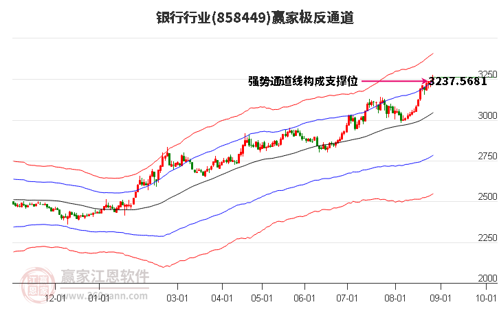 858449银行赢家极反通道工具