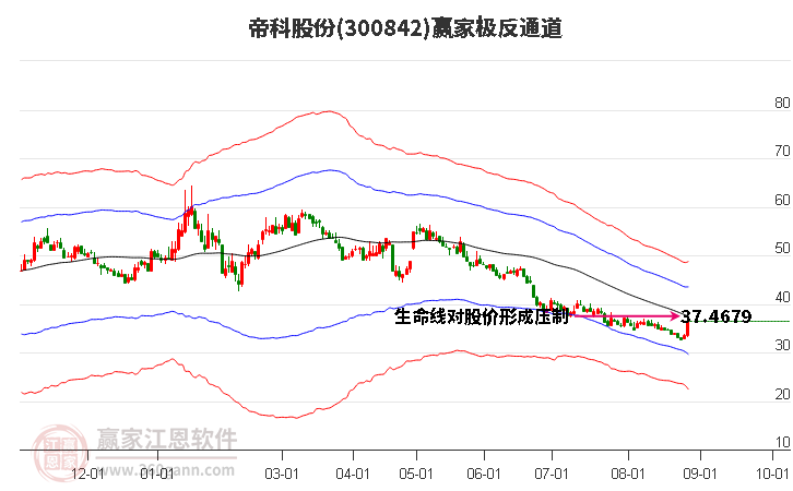 300842帝科股份赢家极反通道工具