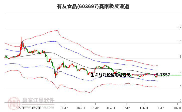 603697有友食品赢家极反通道工具