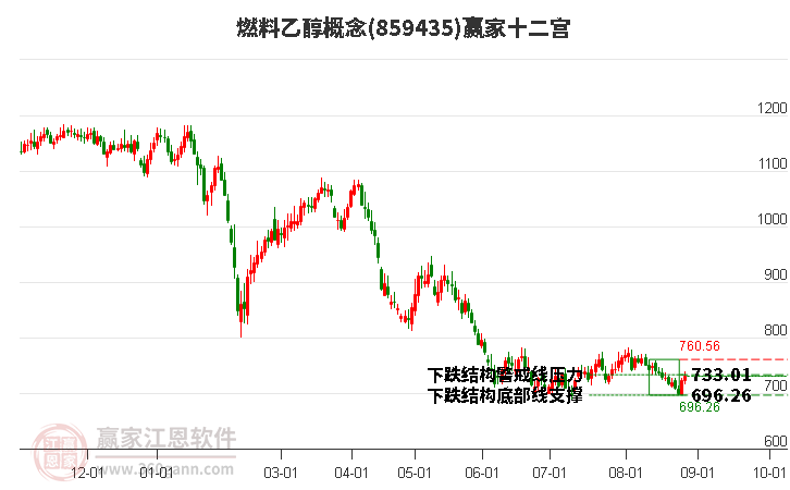 859435燃料乙醇赢家十二宫工具