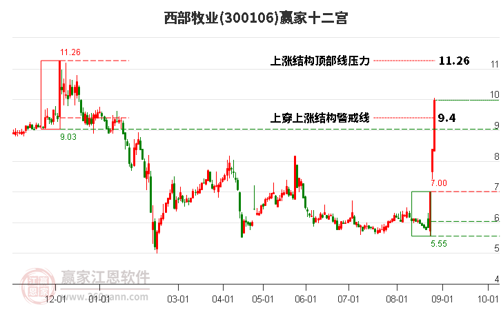 300106西部牧业赢家十二宫工具