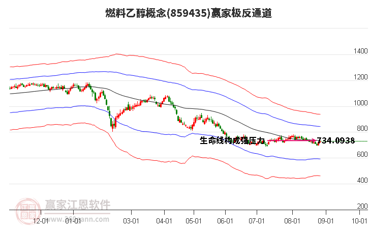 859435燃料乙醇赢家极反通道工具