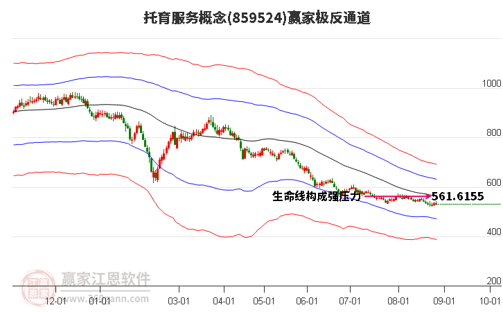 859524托育服务赢家极反通道工具