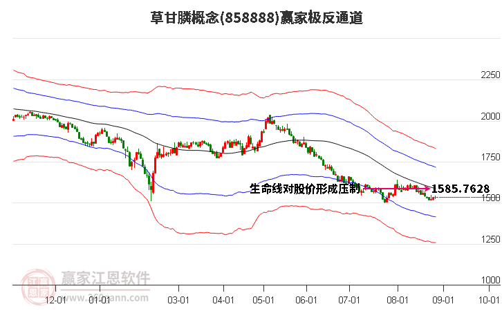 858888草甘膦赢家极反通道工具