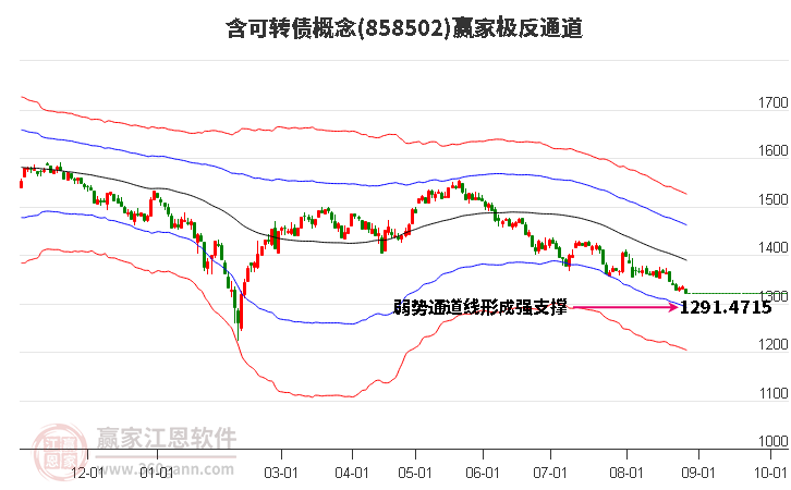 858502含可转债赢家极反通道工具