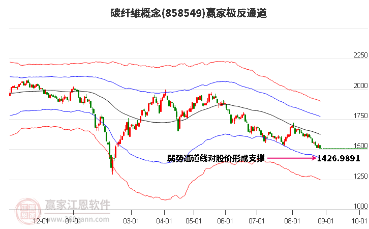 858549碳纤维赢家极反通道工具