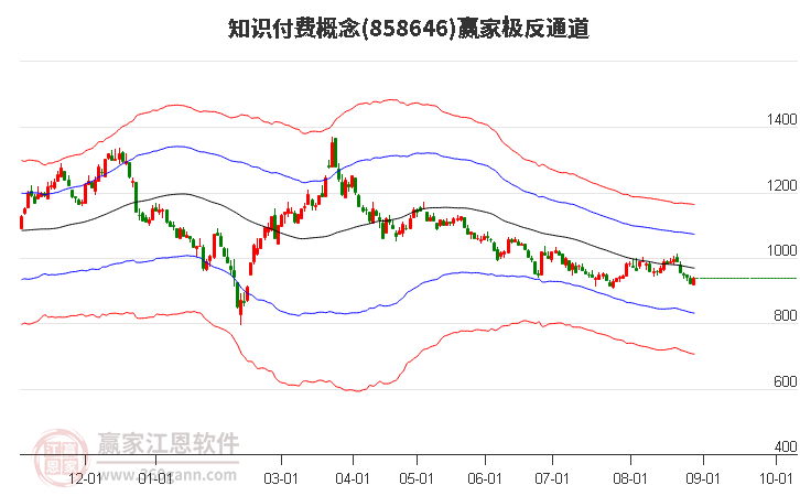 858646知识付费赢家极反通道工具