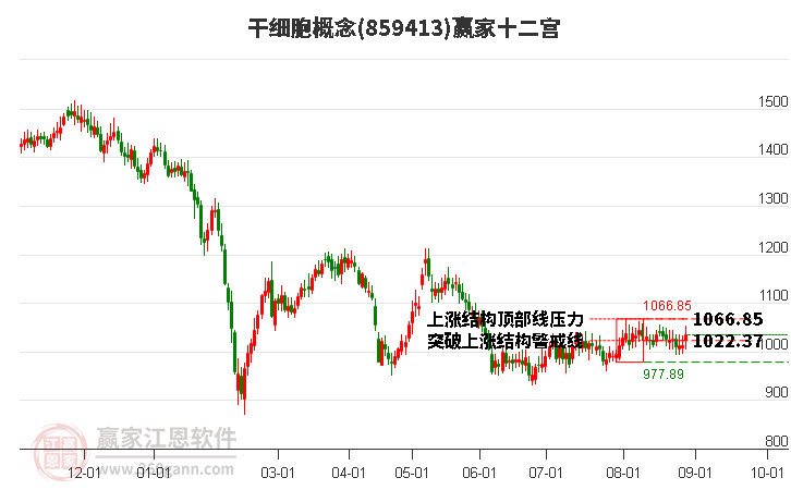 859413干细胞赢家十二宫工具