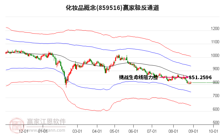 859516化妝品贏家極反通道工具