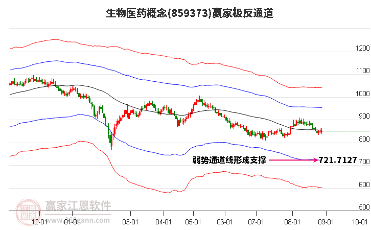 859373生物医药赢家极反通道工具